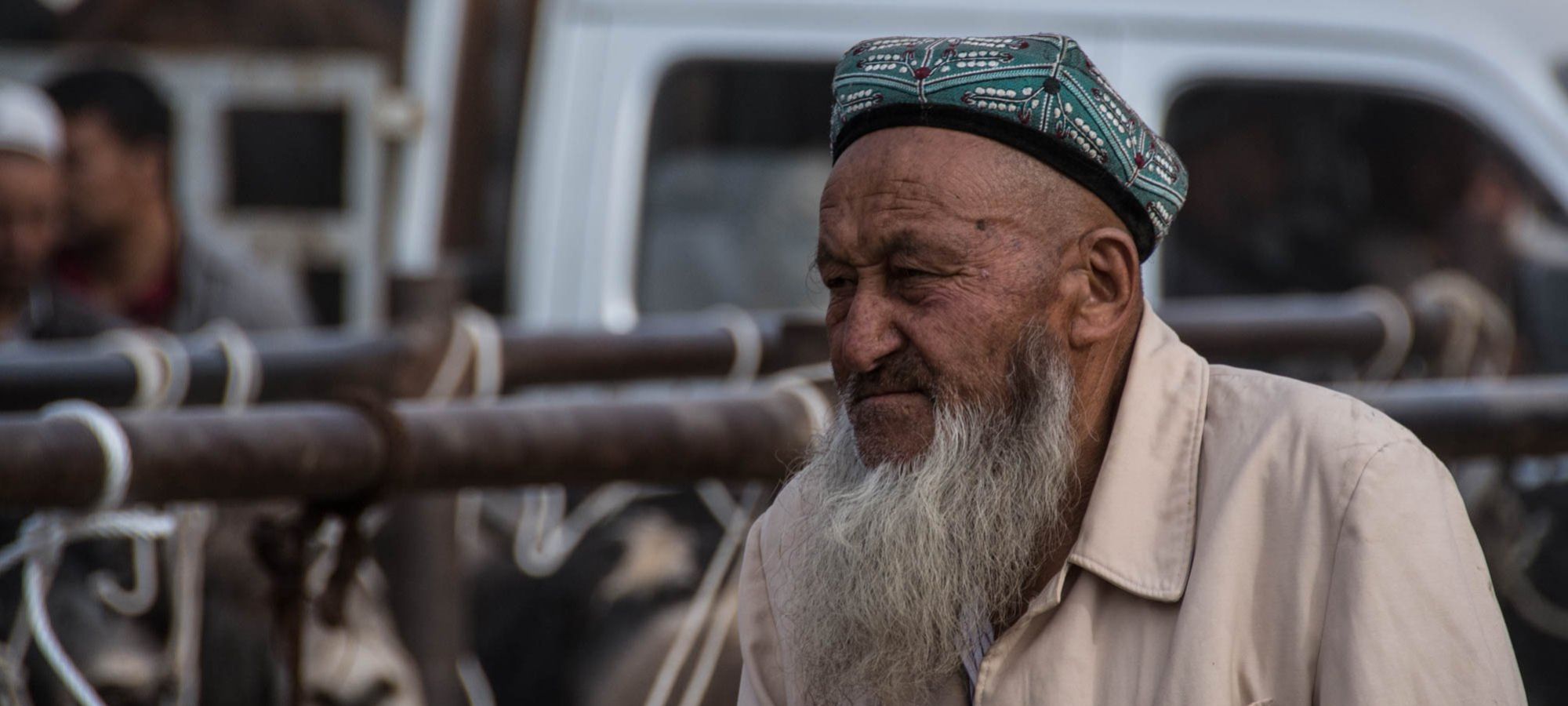 Kashgar - Livestock Market 